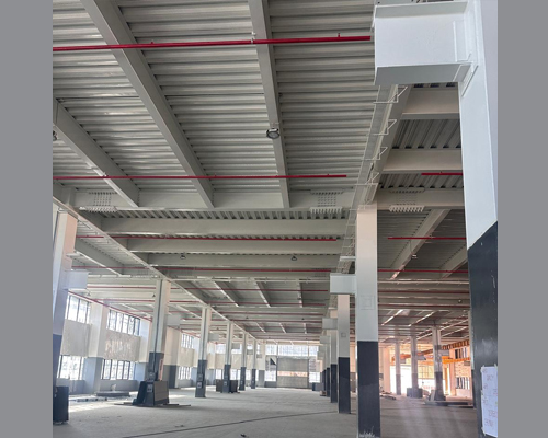 Image 5